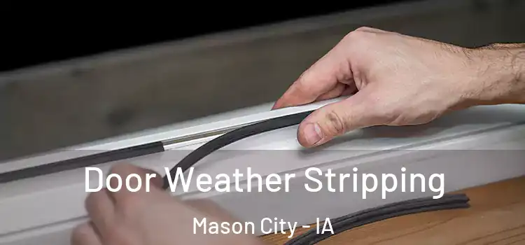 Door Weather Stripping Mason City - IA