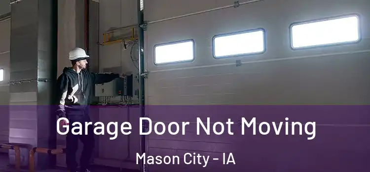  Garage Door Not Moving Mason City - IA