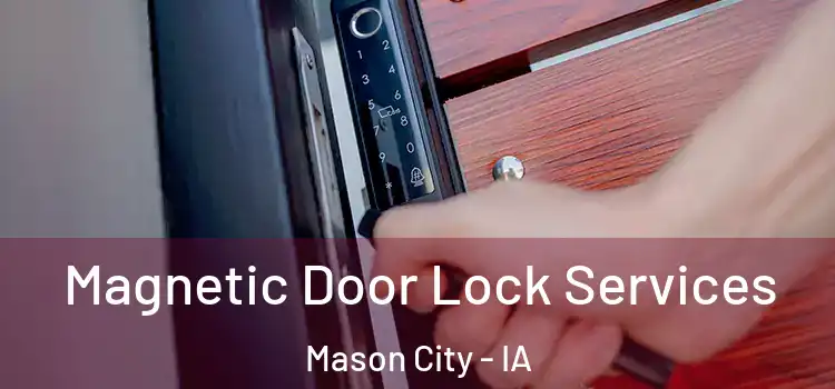 Magnetic Door Lock Services Mason City - IA